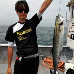 ファイヤードルフィン 釣果