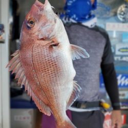 遊漁船 ニライカナイ 釣果