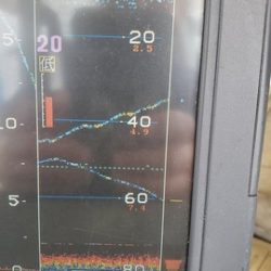 遊漁船 ニライカナイ 釣果