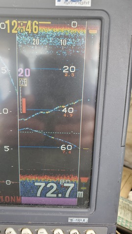 遊漁船 ニライカナイ 釣果