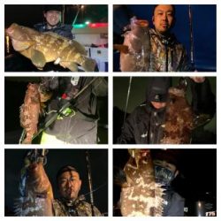 シーマジカル 釣果