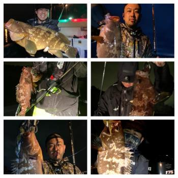 シーマジカル 釣果