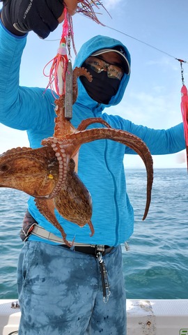 遊漁船 ニライカナイ 釣果