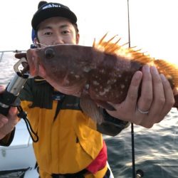 Magic(マジック) 釣果