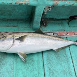 広進丸 釣果