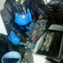 第二大福丸 釣果