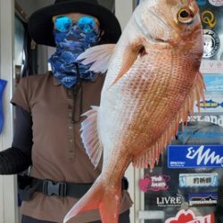 遊漁船 ニライカナイ 釣果