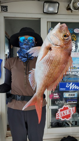 遊漁船 ニライカナイ 釣果