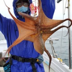 遊漁船 ニライカナイ 釣果