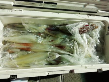 第二大福丸 釣果