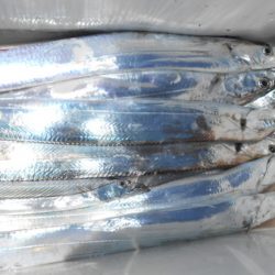 こうゆう丸 釣果