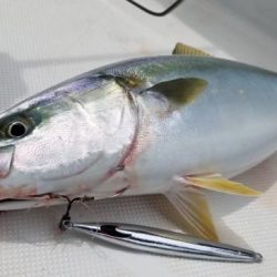 暁〜akatsuki〜 釣果