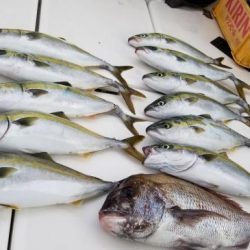 暁〜akatsuki〜 釣果