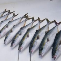 暁〜akatsuki〜 釣果