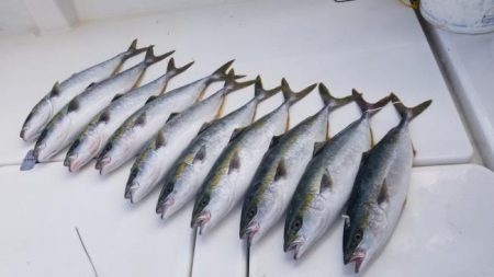 暁〜akatsuki〜 釣果