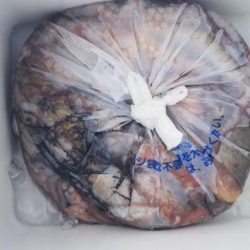 暁〜akatsuki〜 釣果