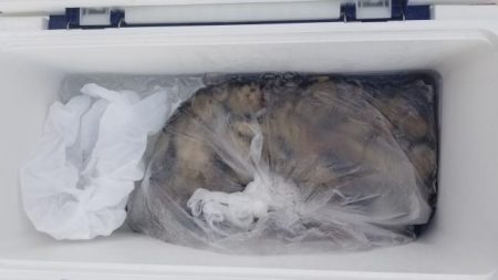 暁〜akatsuki〜 釣果