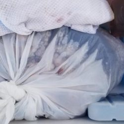 暁〜akatsuki〜 釣果