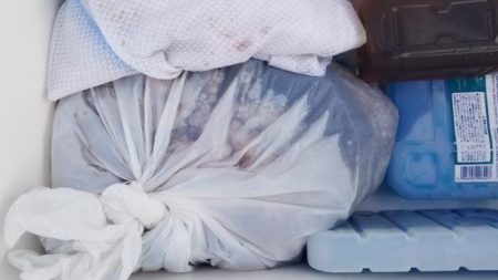 暁〜akatsuki〜 釣果