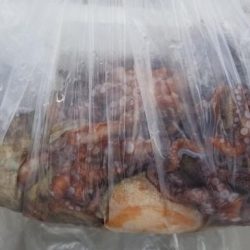 暁〜akatsuki〜 釣果