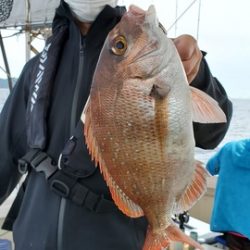 遊漁船 ニライカナイ 釣果