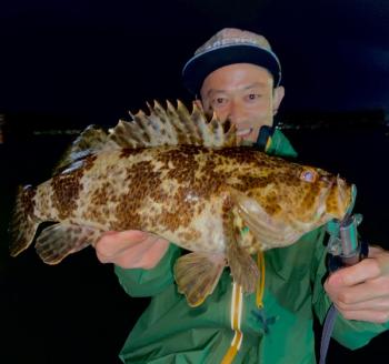 シーマジカル 釣果