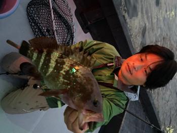 シーマジカル 釣果