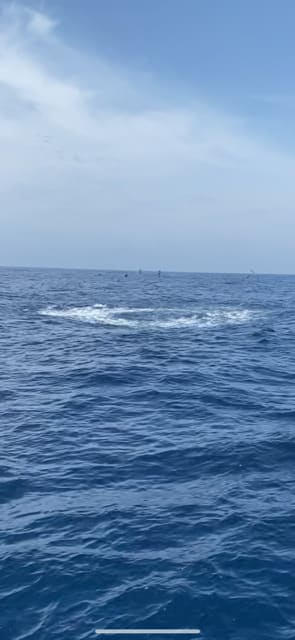 へいみつ丸 釣果