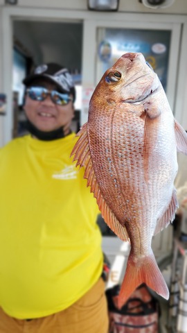 遊漁船 ニライカナイ 釣果