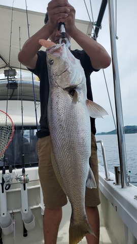 遊漁船 ニライカナイ 釣果