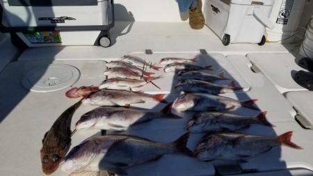 暁〜akatsuki〜 釣果