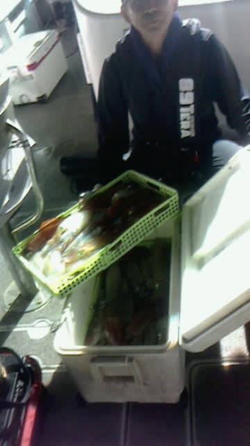 第二大福丸 釣果