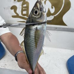 夢丸 釣果