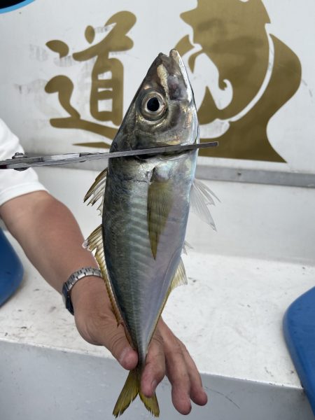 夢丸 釣果