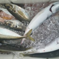 第五慶門丸 釣果