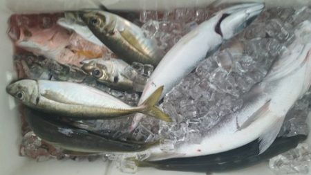 第五慶門丸 釣果