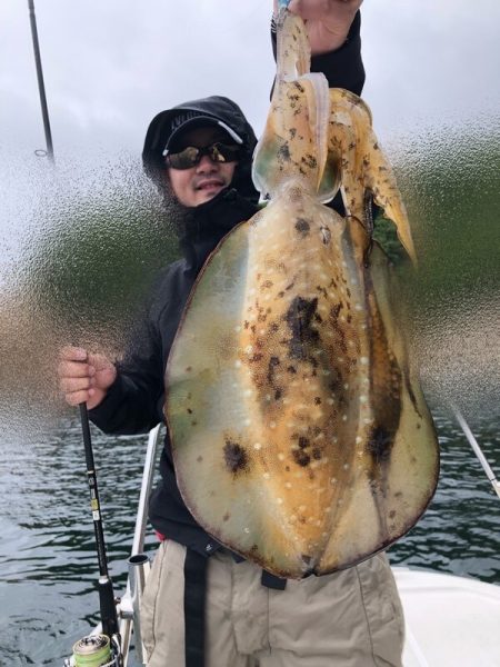 Magic（マジック） 釣果