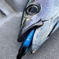 へいみつ丸 釣果