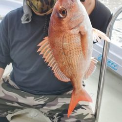 遊漁船 ニライカナイ 釣果