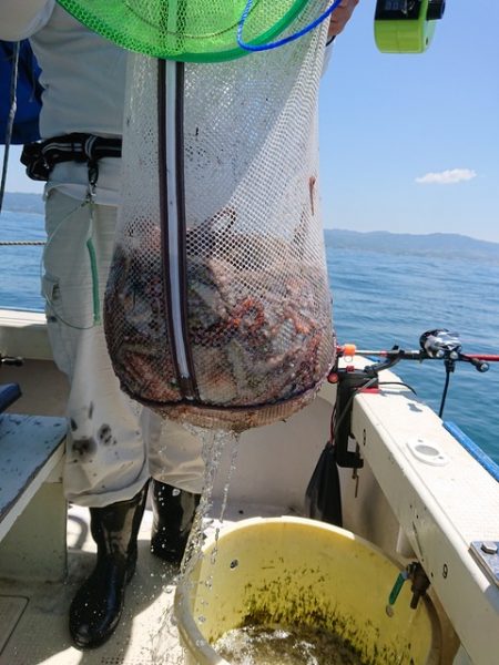 たかみ丸 釣果