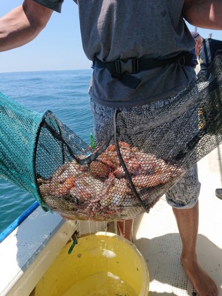 たかみ丸 釣果