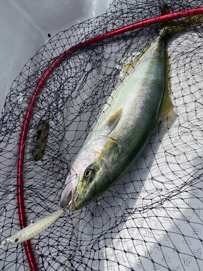 ミタチ丸 釣果