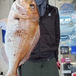 遊漁船 ニライカナイ 釣果