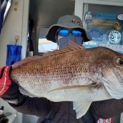 遊漁船 ニライカナイ 釣果