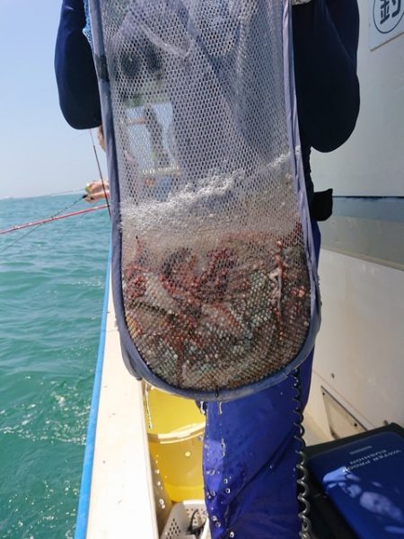 たかみ丸 釣果