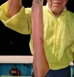 松福丸 釣果