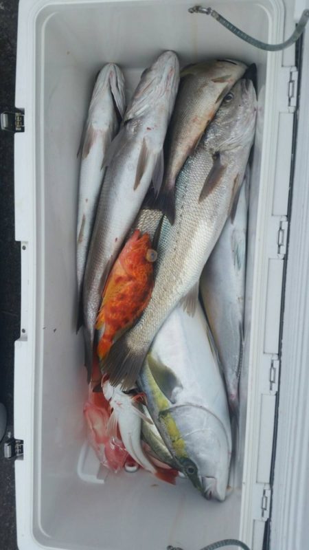 第五慶門丸 釣果