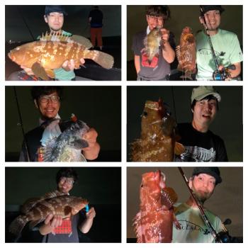 シーマジカル 釣果