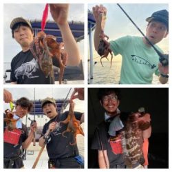 シーマジカル 釣果