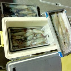 第二大福丸 釣果